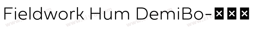 Fieldwork Hum DemiBo字体转换